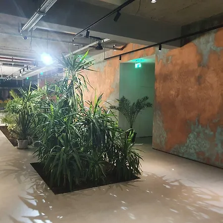 多依娜酒店 3* 马马亚