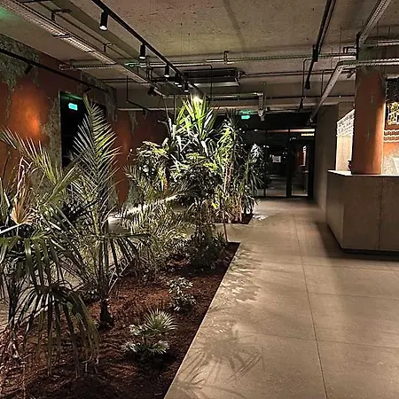 多依娜酒店 酒店
